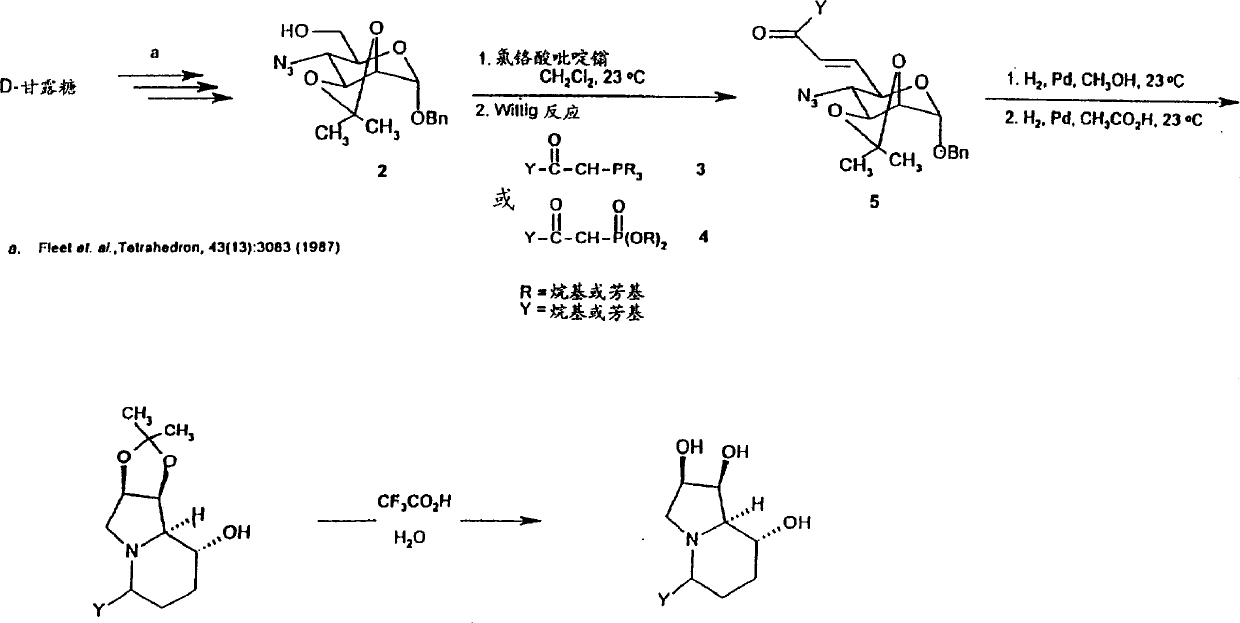Novel 3,5 and/or 6 substituted analogues of swainsonine, process for their preparation and their use as therapeutic agents