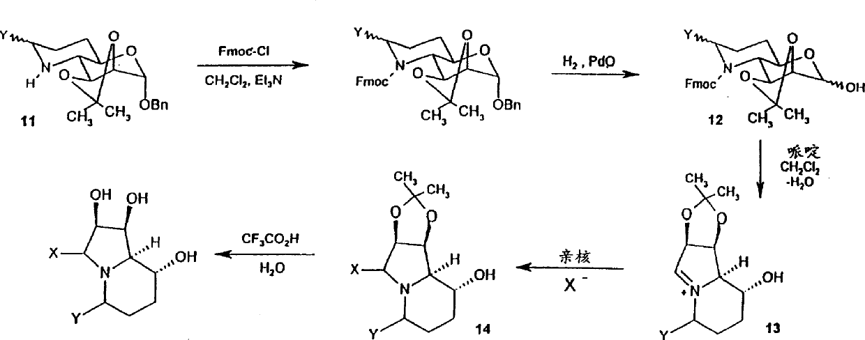 Novel 3,5 and/or 6 substituted analogues of swainsonine, process for their preparation and their use as therapeutic agents