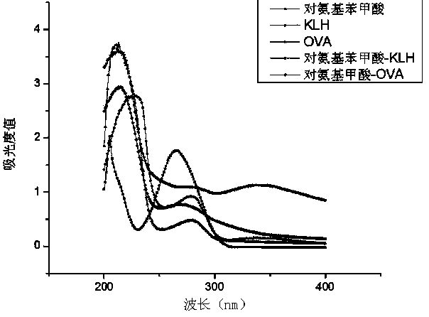 Benzoic acid artificial antigen and antibody, and preparation methods and applications thereof