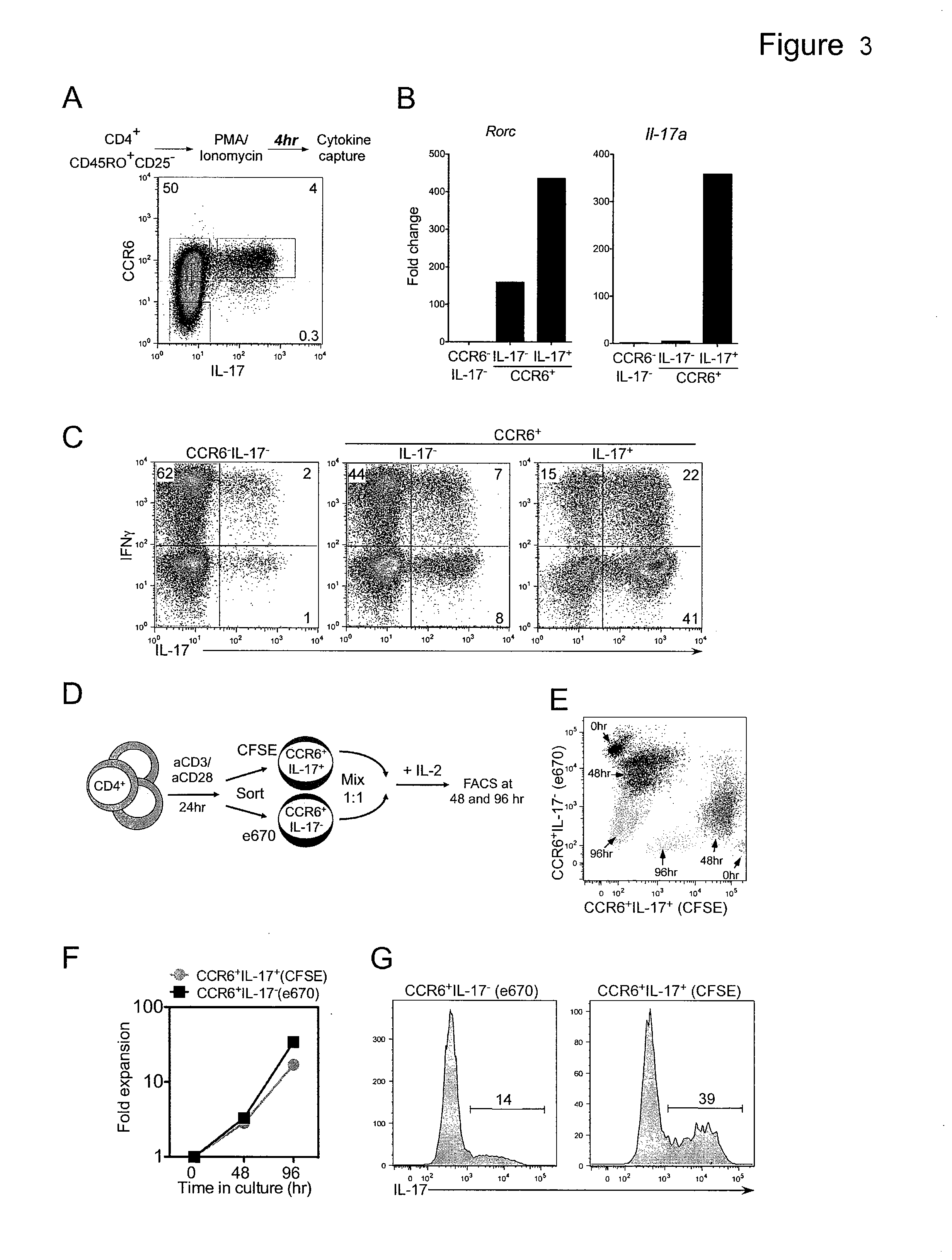Methods for activating t cells