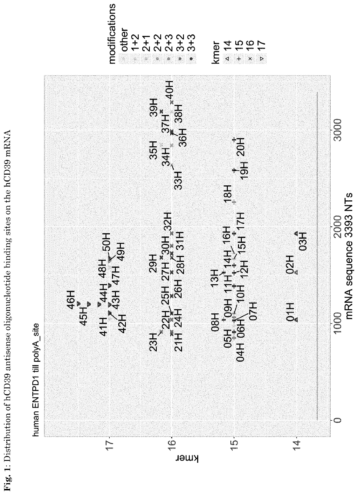 Immunosuppression-Reverting Oligonucleotides Inhibiting the Expression of CD39