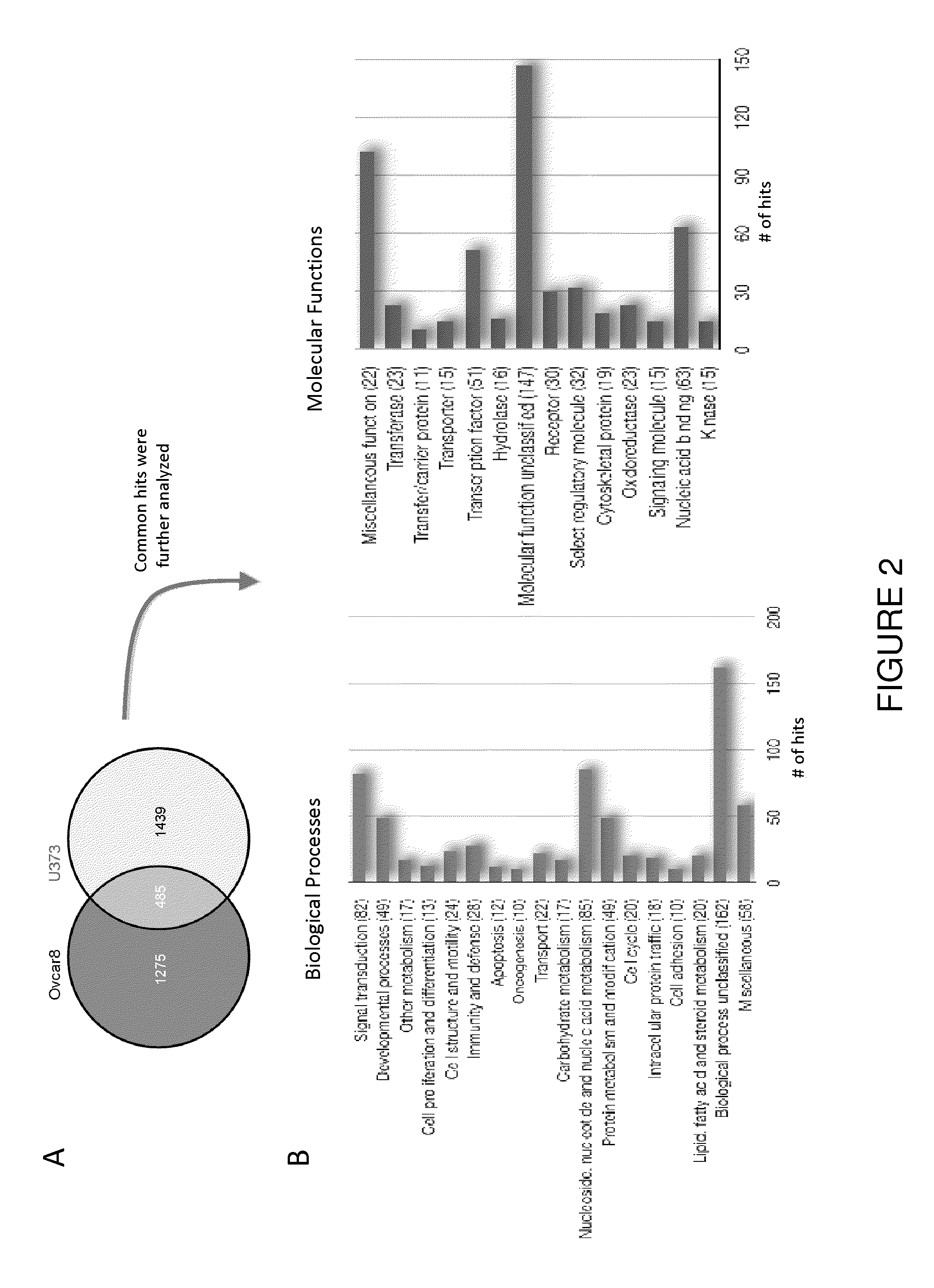 Compositions and methods for augmenting activity of oncolytic viruses