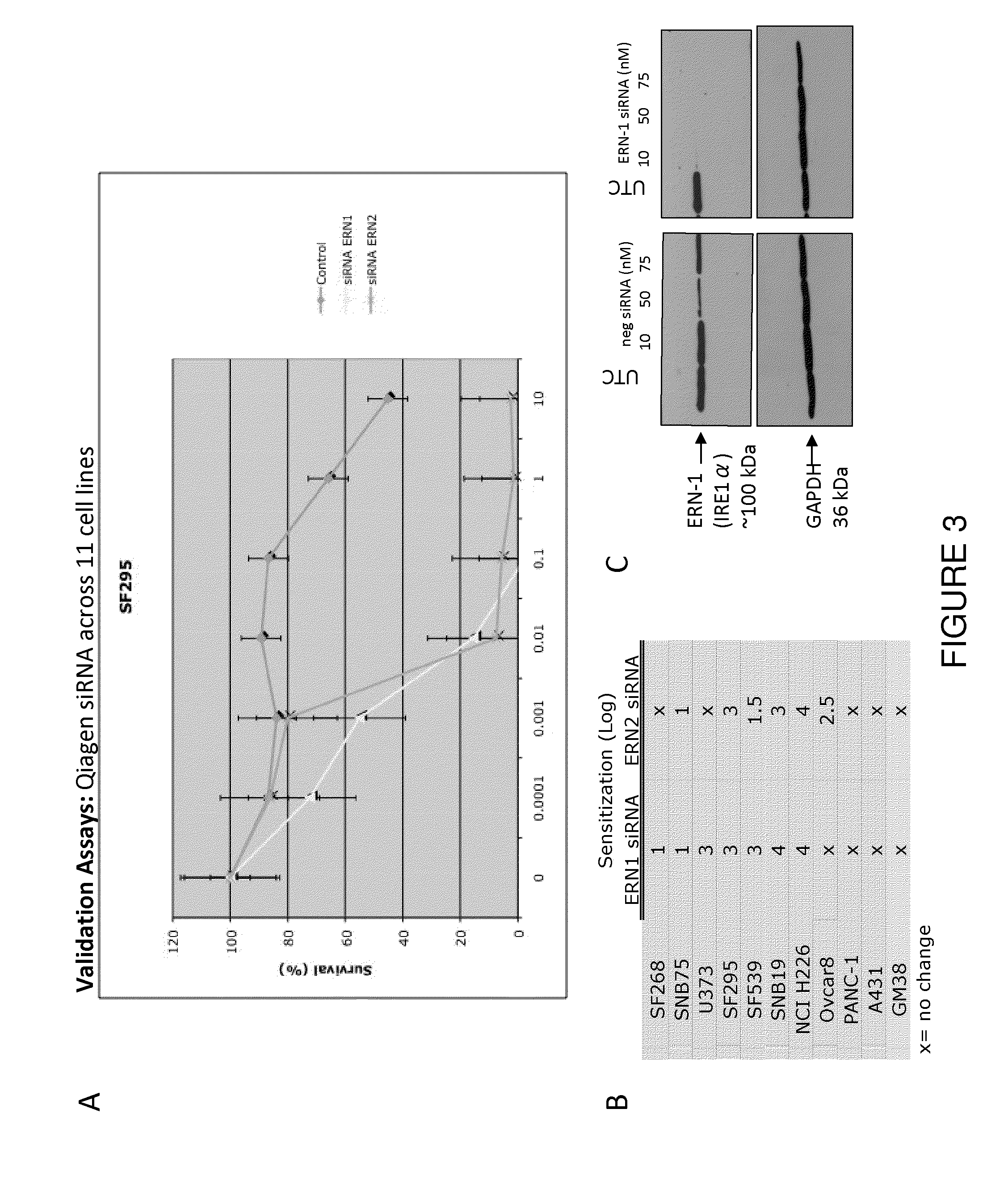 Compositions and methods for augmenting activity of oncolytic viruses