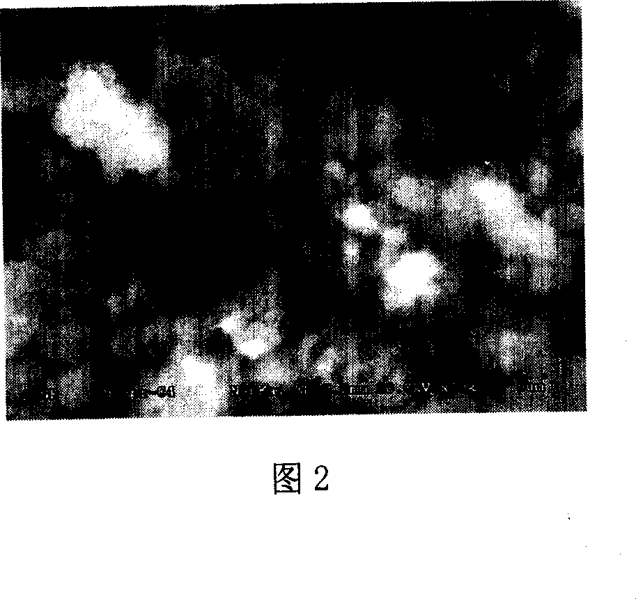 Method for producing anode active material containing lithium, magnesium compound oxide
