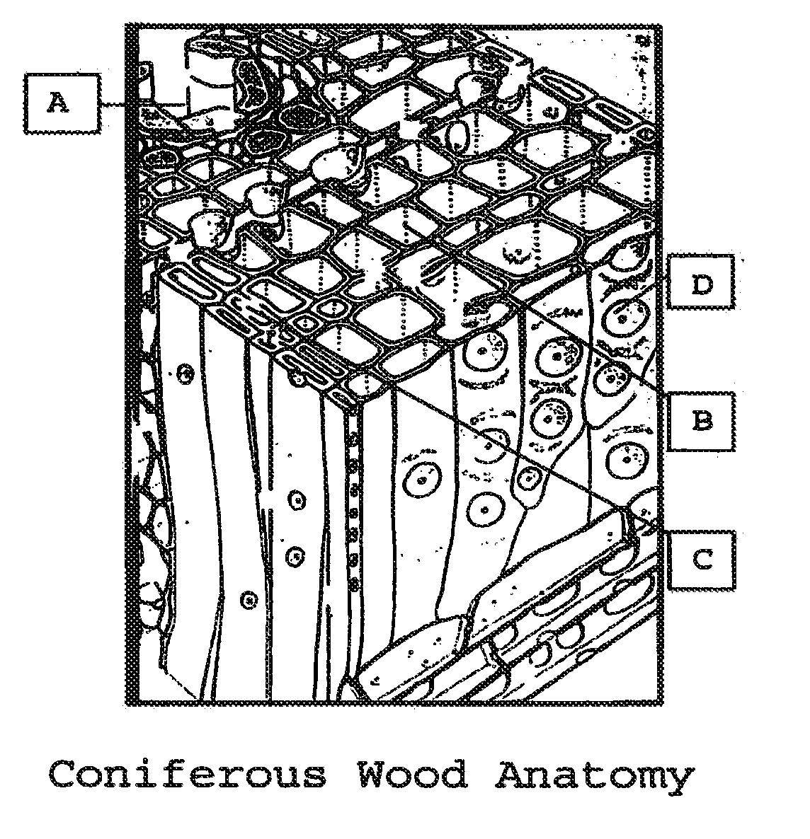 Compositions and methods for treating cellulose-based materials with micronized additives