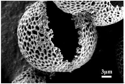 Preparation method of rhenium disulfide optoelectronic material loaded with pollen carbon skeleton