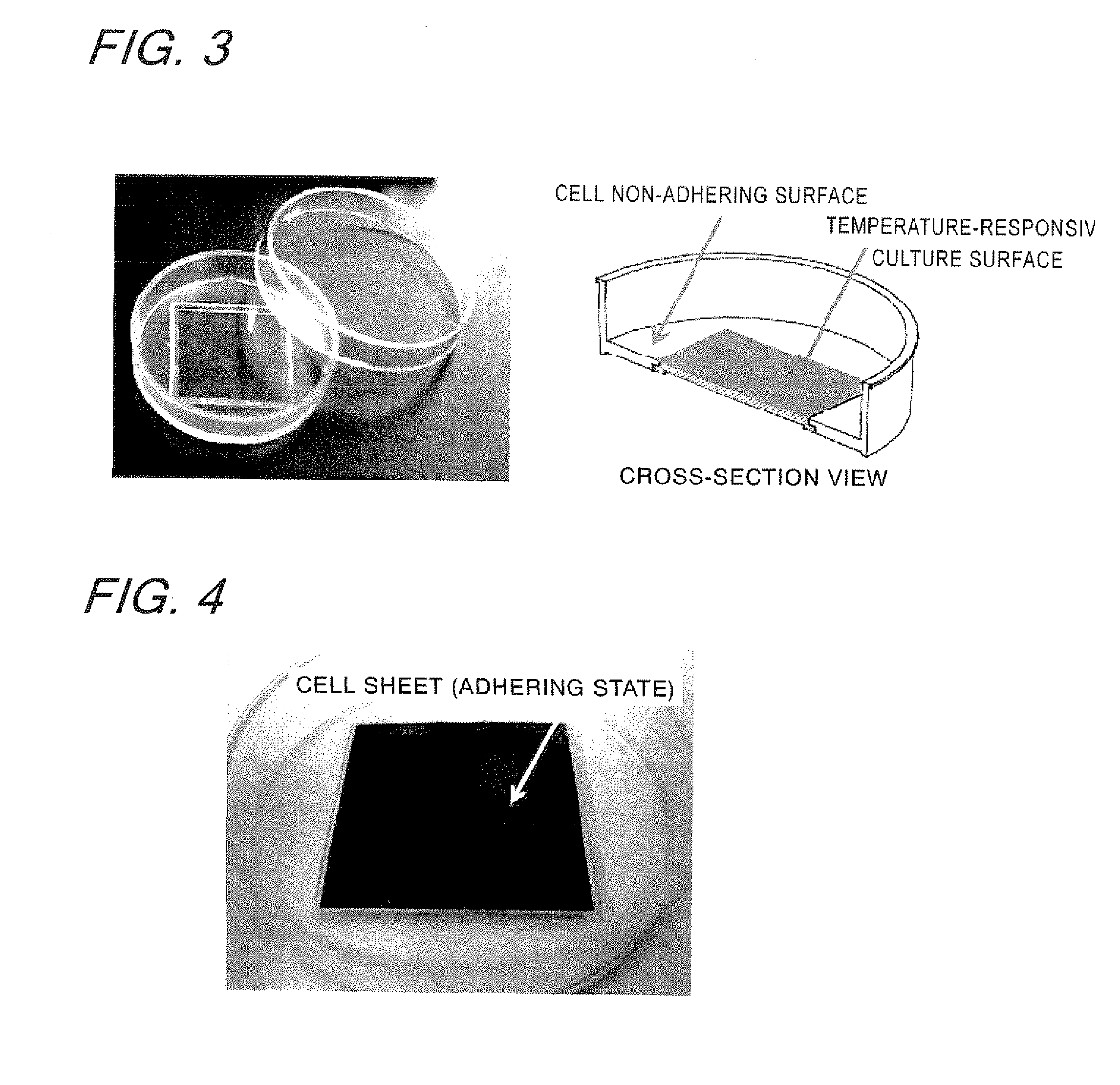 Temperature-responsive cell culture substrate and method for producing the same
