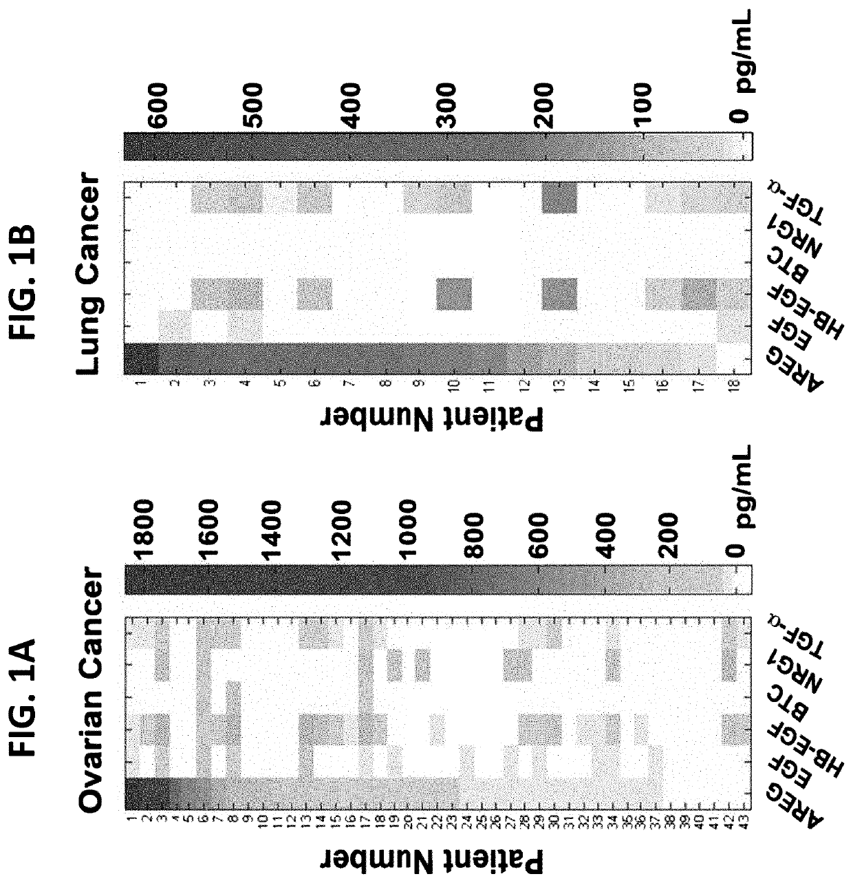 Anti amphiregulin antibodies, compositions comprising same and uses thereof