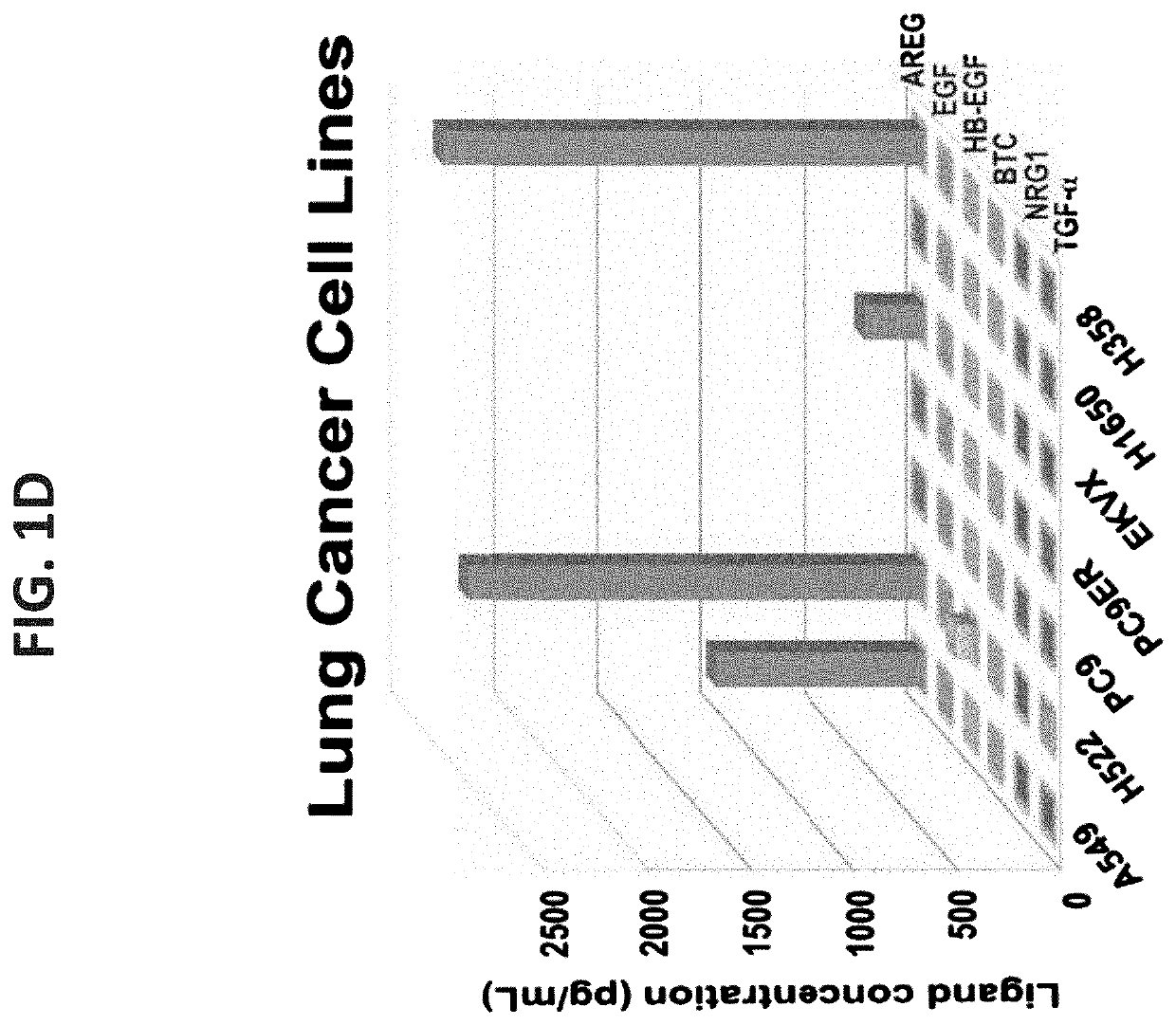 Anti amphiregulin antibodies, compositions comprising same and uses thereof