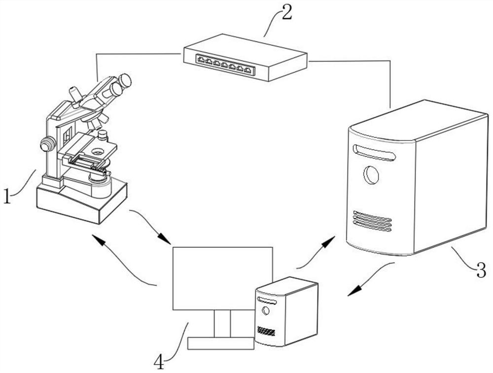 Intelligent microorganism recognition device and method for activated sludge