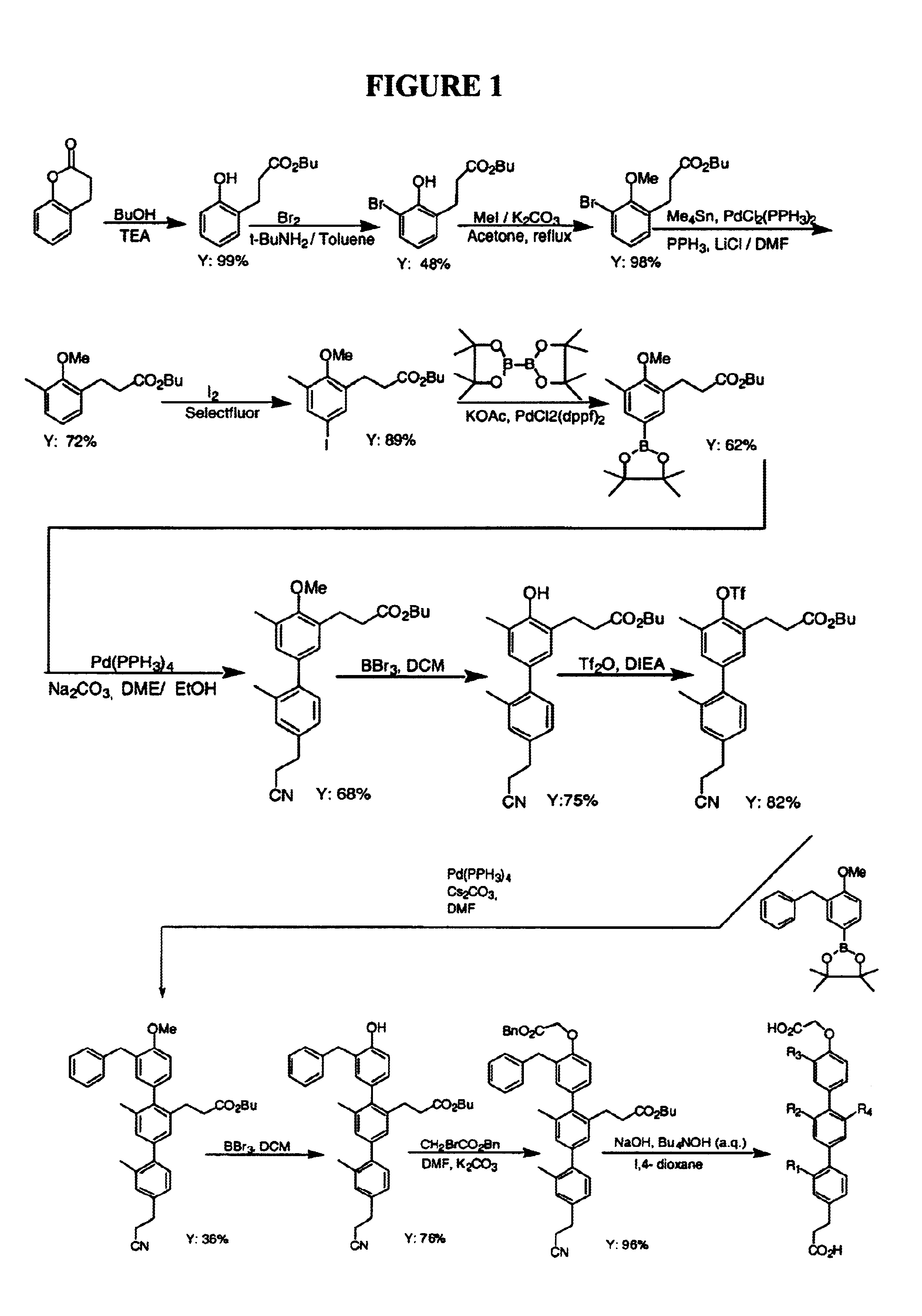 Proteomimetic compounds and methods