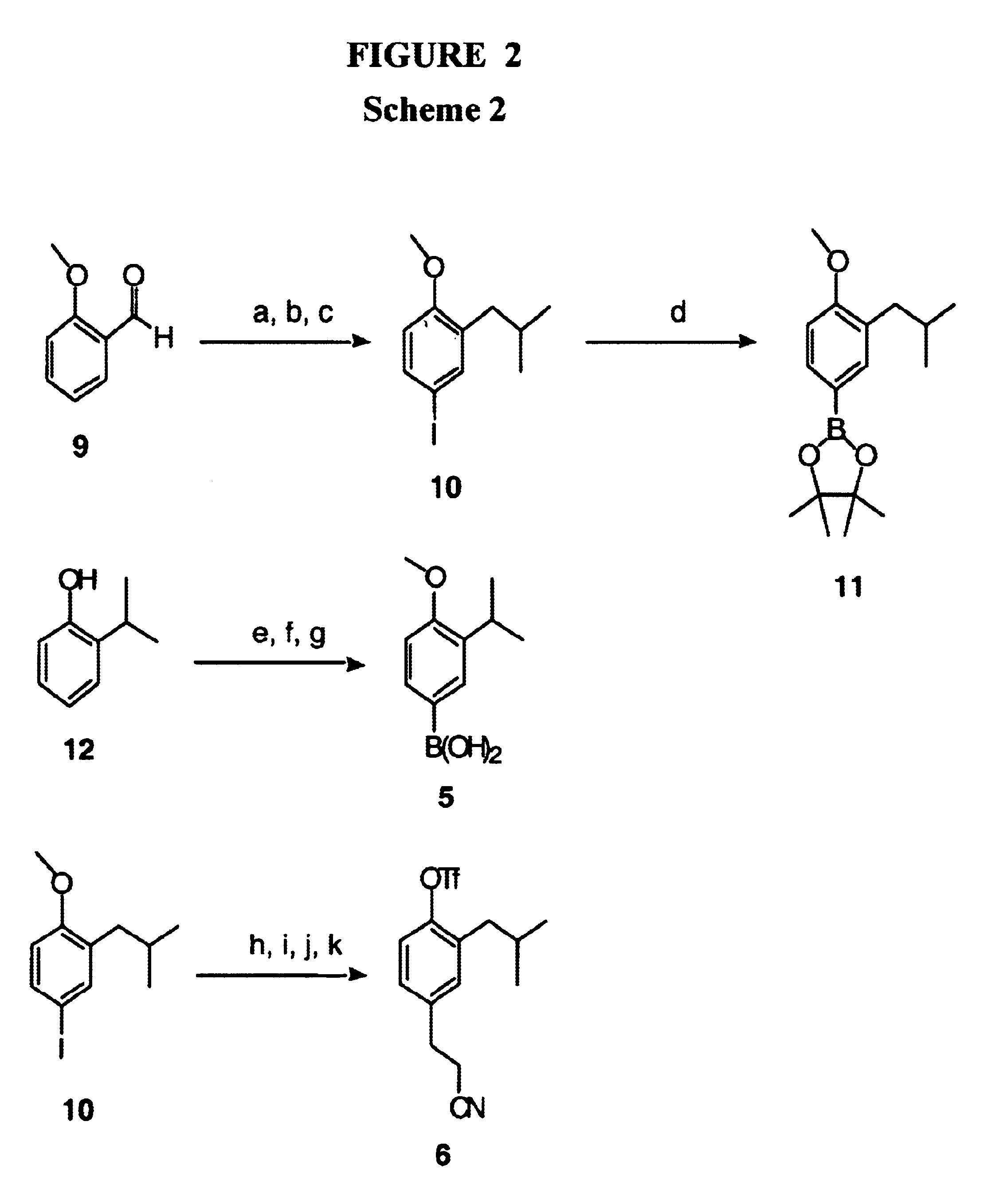 Proteomimetic compounds and methods