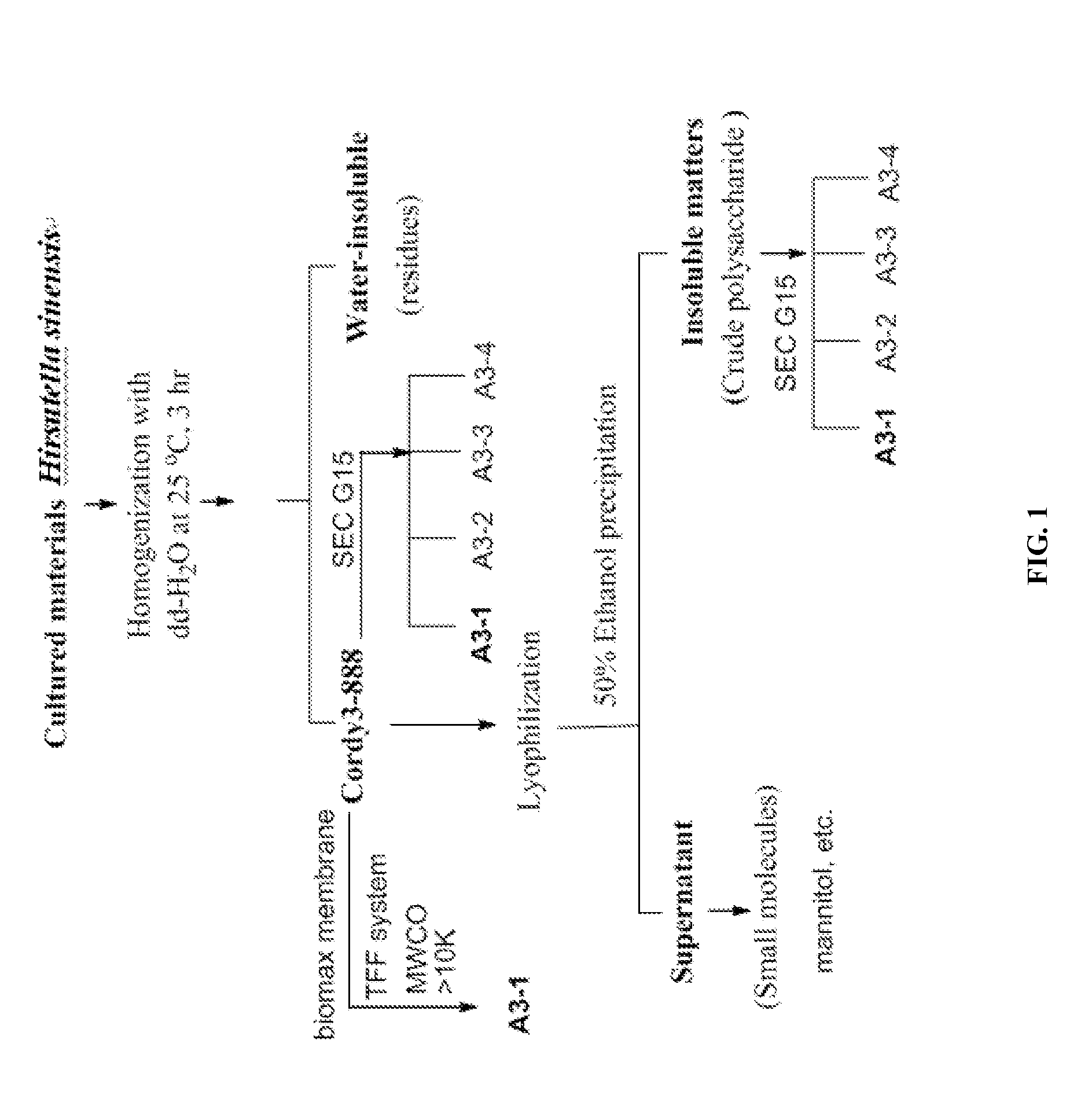 Hirsutella sinensis mycelia compositions and methods for treating sepsis and related inflammatory responses