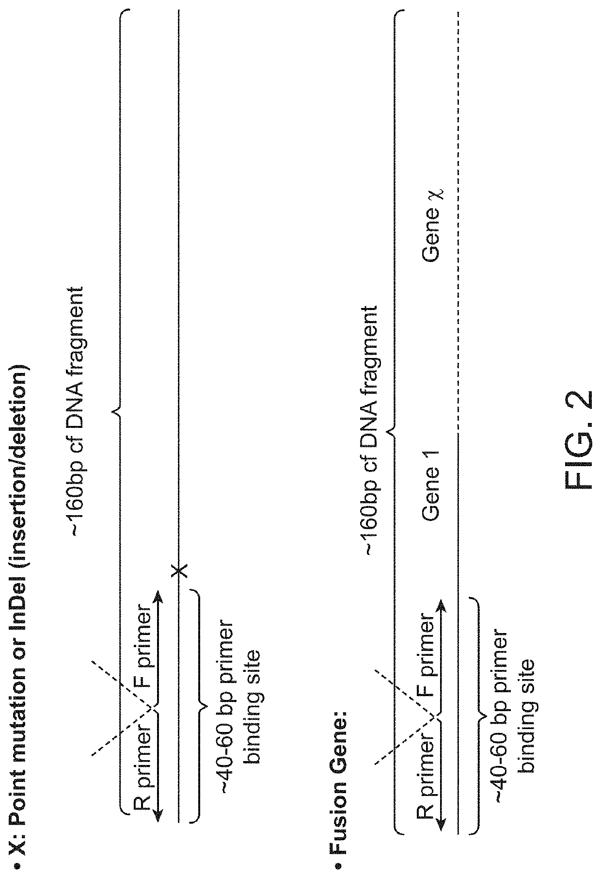 Methods and compositions for enrichment of amplification products
