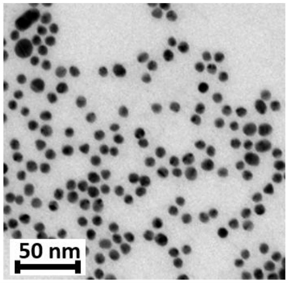 Preparation of a gold@graphene oxide composite nanomaterial and its application in the detection of adenosine triphosphate