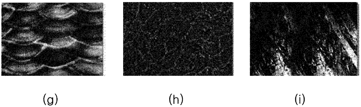 Ded arc three-dimensional alloy metal powder printing method and apparatus using arc and alloy metal powder core wire