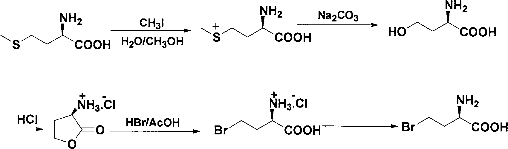 Method for splitting halogenated alpha-amino acid