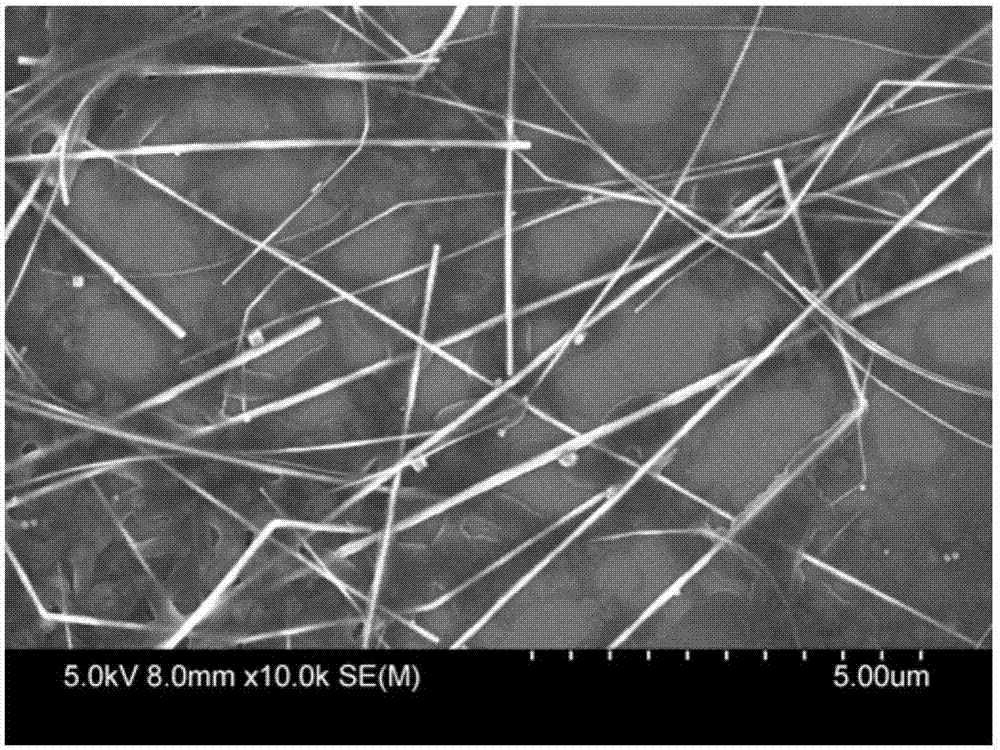 Preparation method of copper nanowires uniform in shape