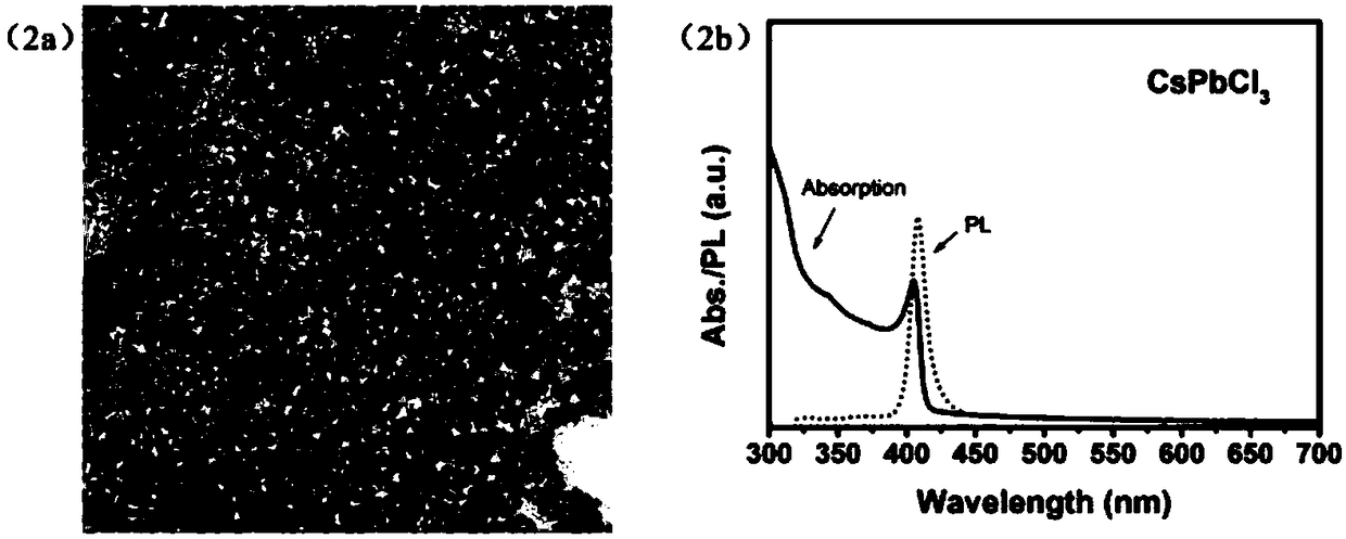 All-inorganic halogen perovskite nano-crystal and preparation method thereof