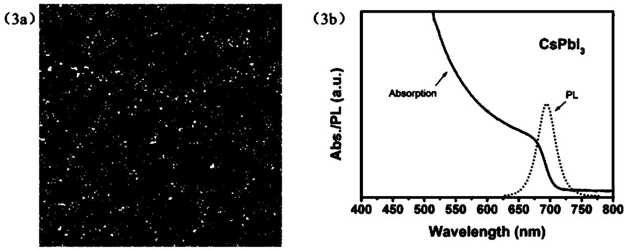 All-inorganic halogen perovskite nano-crystal and preparation method thereof