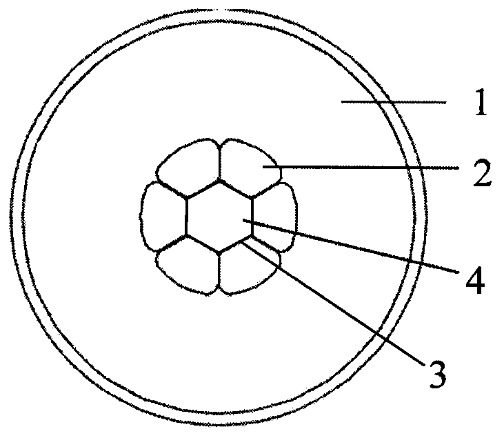 A microstructure optical fiber biochip and its manufacturing method