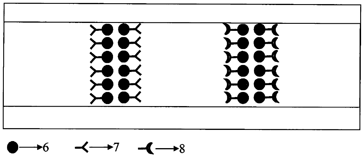 A microstructure optical fiber biochip and its manufacturing method