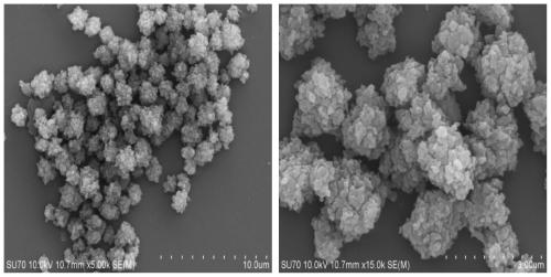 A kind of sulfonic acid type cation exchange resin microsphere and preparation method thereof