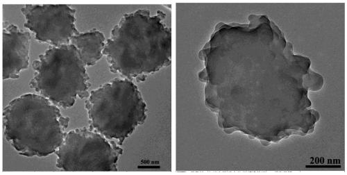 A kind of sulfonic acid type cation exchange resin microsphere and preparation method thereof