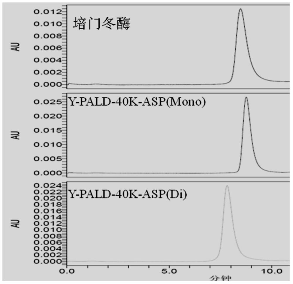 PEG site-modified asparaginase injection