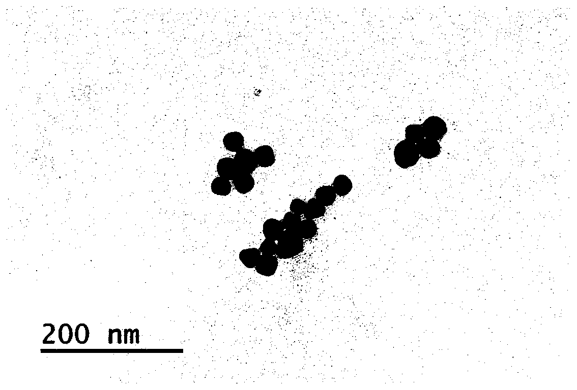 Method for determining trypsin activity by using silver nanoparticles