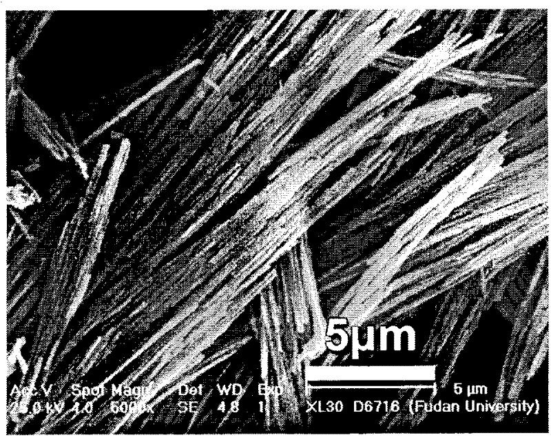 Method for synthesizing molybdenum dioxide-carbon composite nano-wire