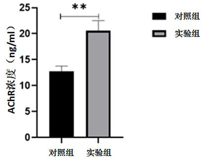 Method for establishing myasthenia gravis EAMG mouse skeletal muscle model