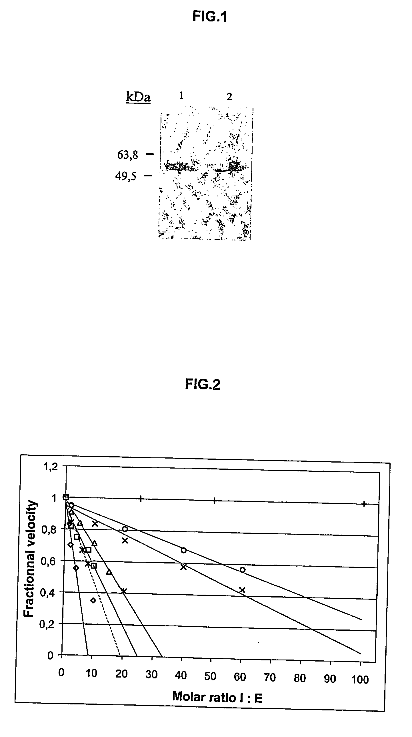 Inhibitor proteins of a protease and use thereof