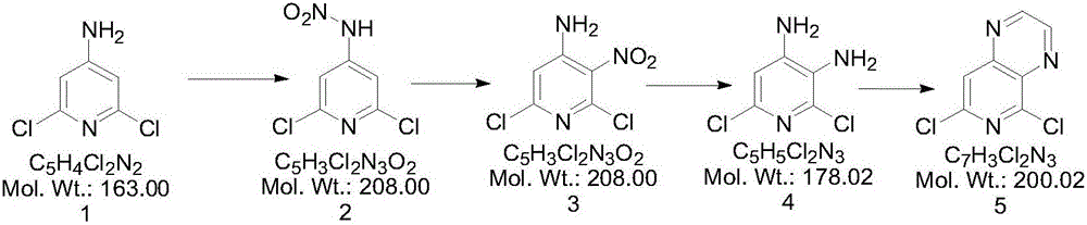 Synthesis method of 2,6-dichloropyridine [3,4-B] pyrazine