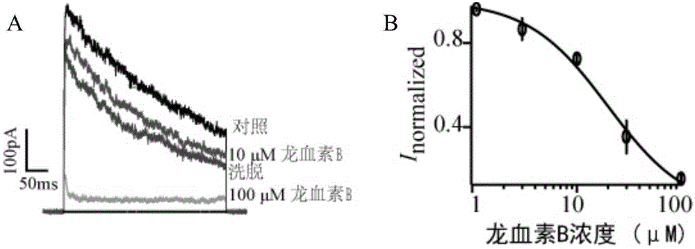 Application of Loureirin B in preparation of Kv1.3 channel blocker