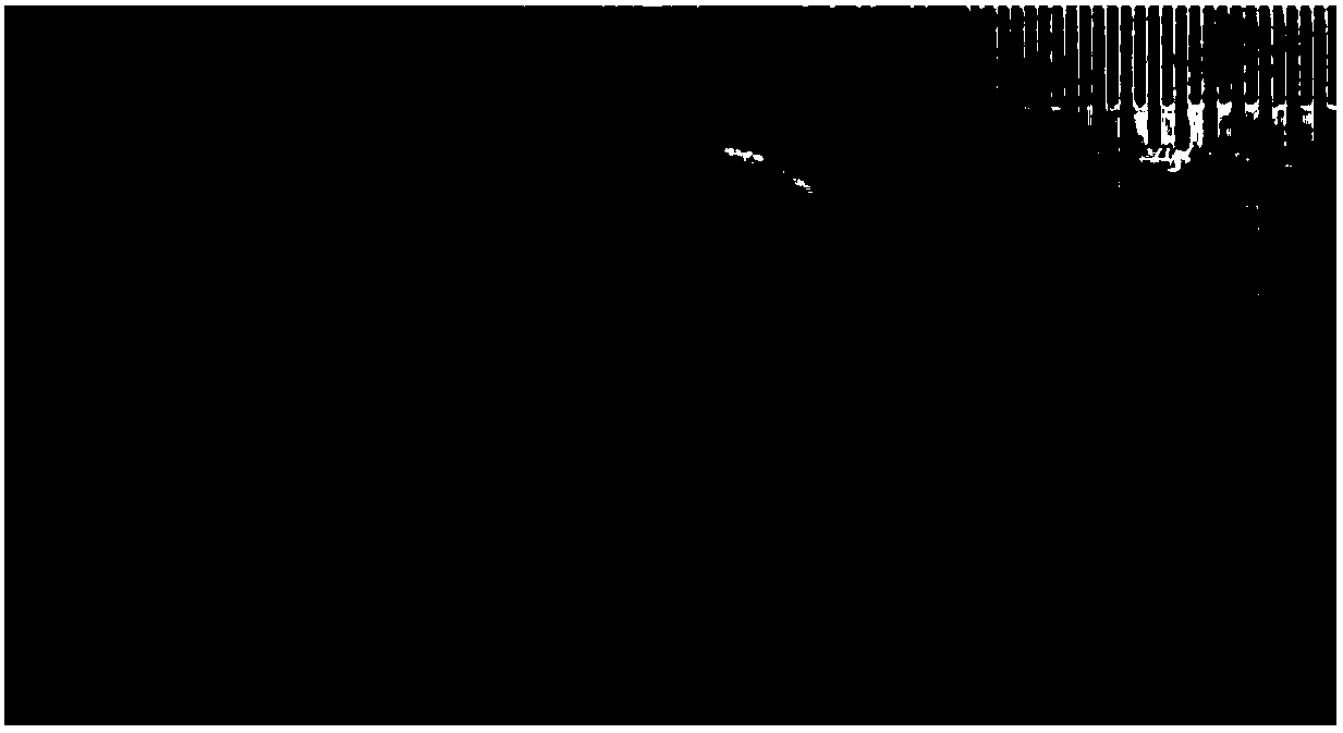 Preparation method for antifungal cornea repairing material