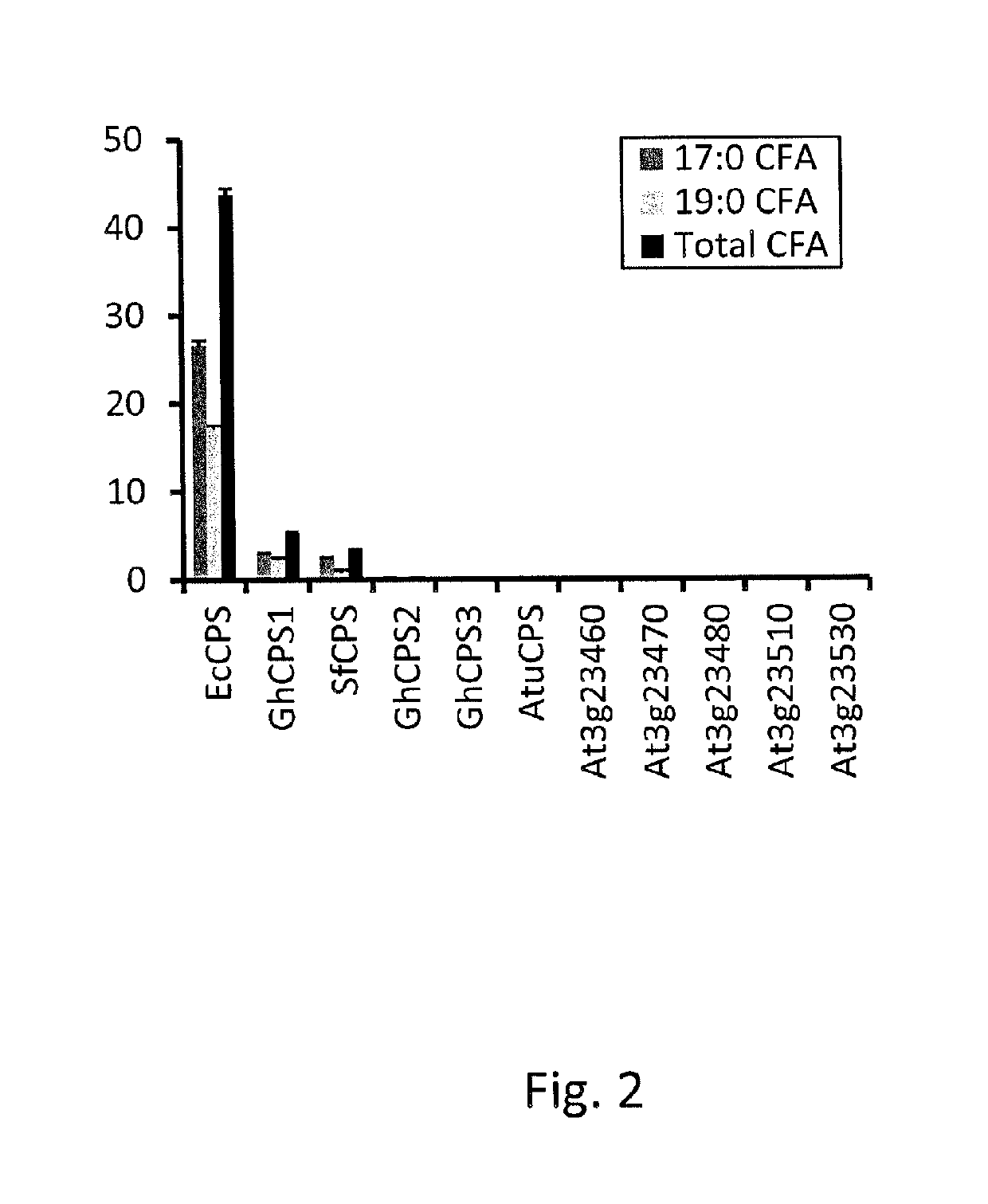 Engineering cyclopropane fatty acid accumulation in plants