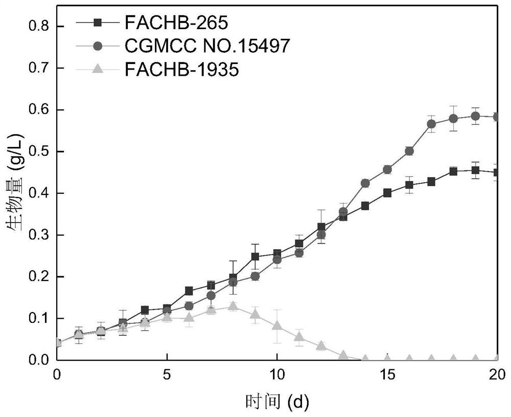 A Chlamydomonas strain and its application in biogas slurry purification