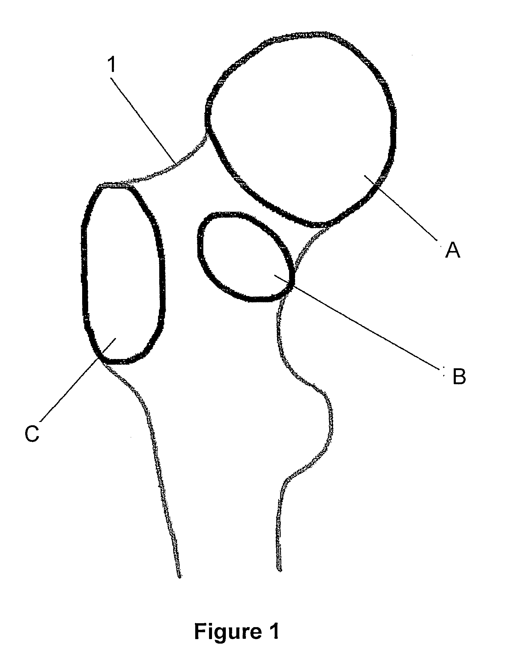 Method for determining an arrangement of measurement points on an anatomical structure