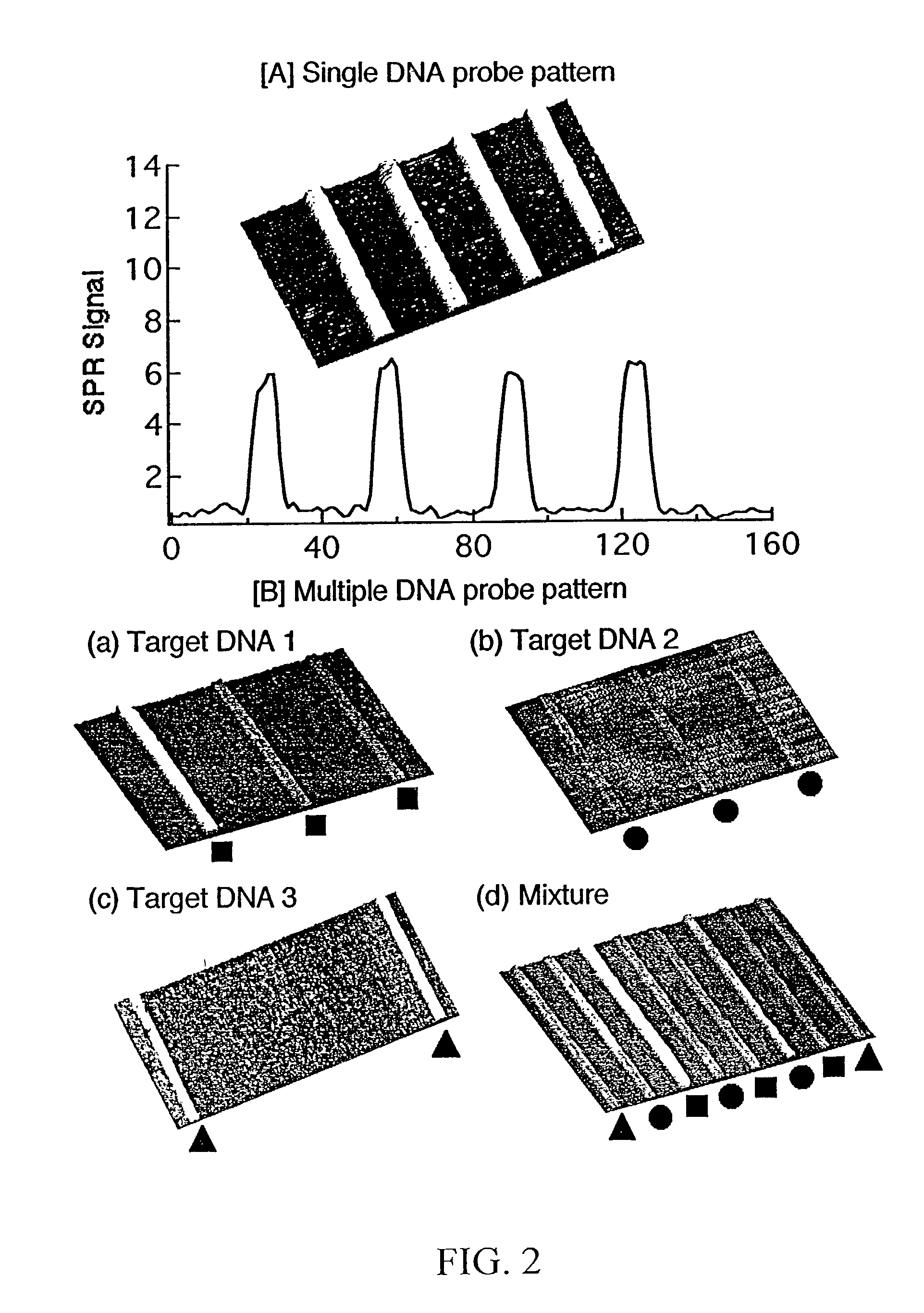 Surface plasmon resonance imaging of micro-arrays