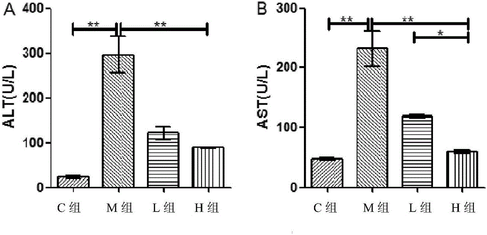 Application of lactobacillus plantarum to preparation of product with liver protecting function