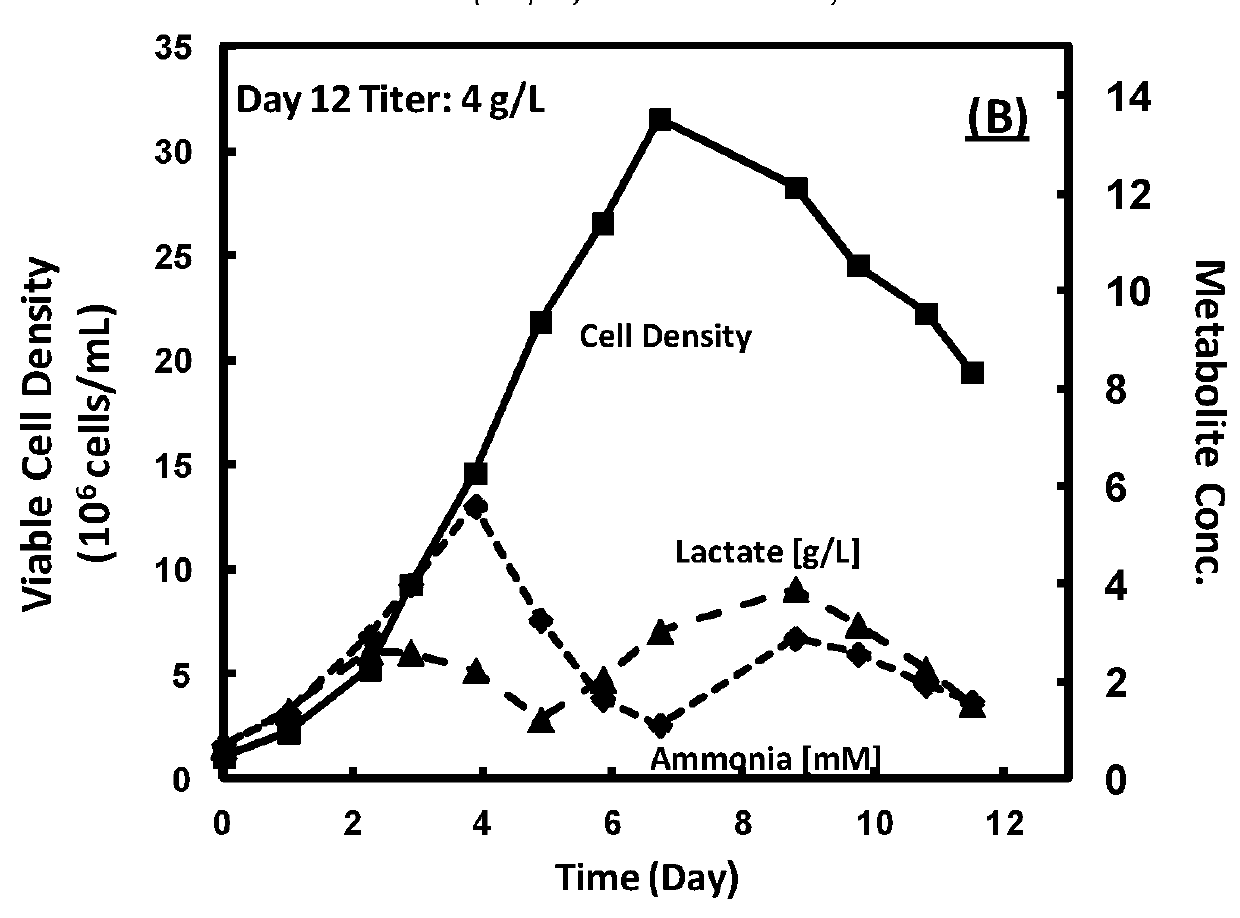 Cells and method of cell culture