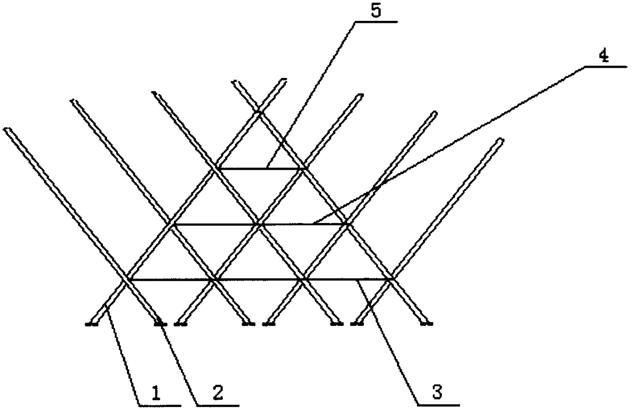 Forming technology for rapidly growing into century-old tree through geometric weaving