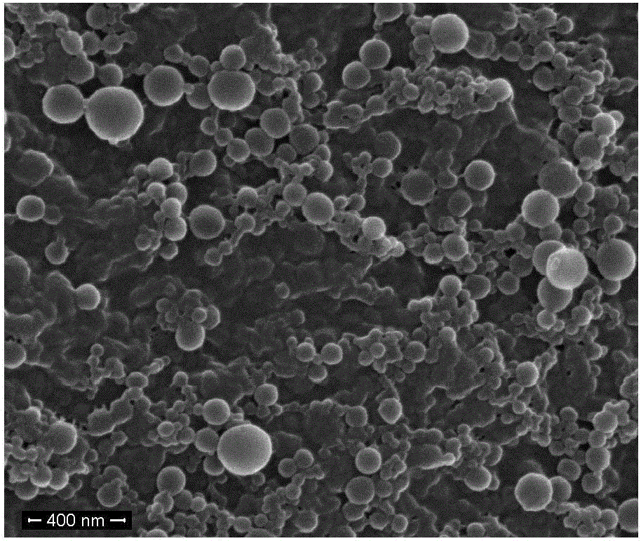 Zein/protein-polysaccharide electrostatic complex core/shell type nanocarrier as well as preparation method and application thereof