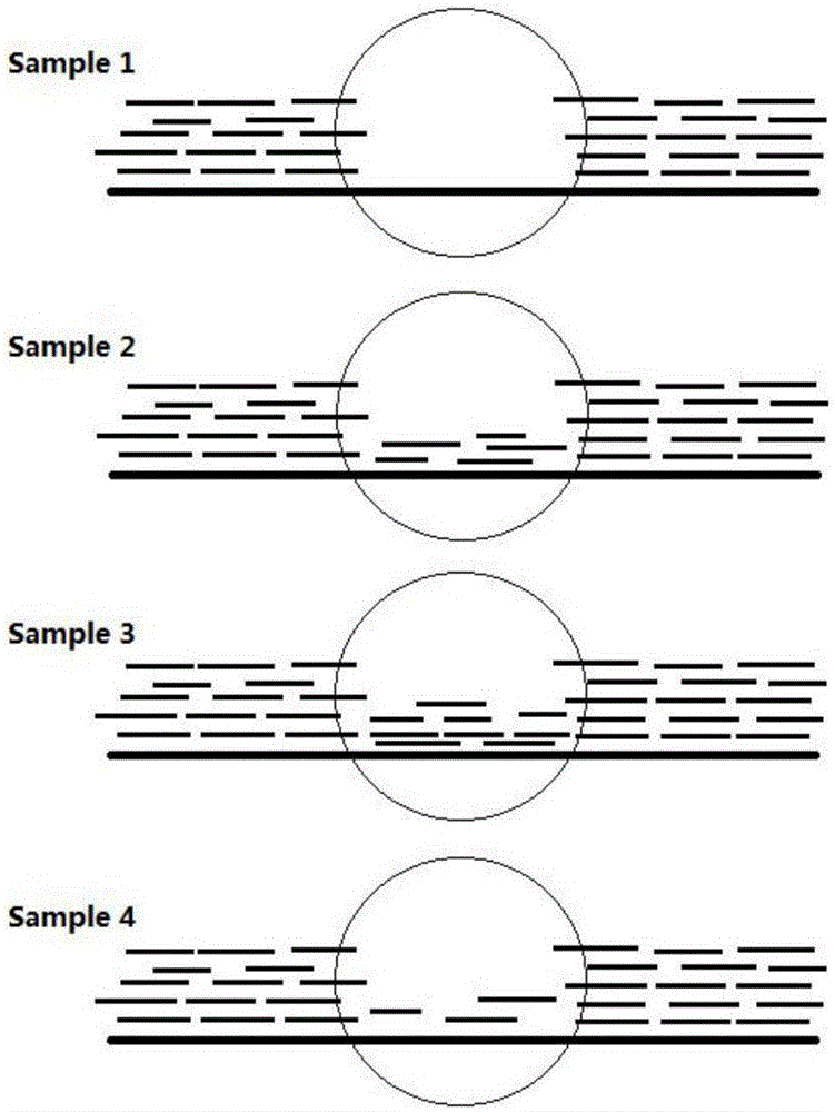 Method for genotyping forest populations on basis of gene CNV (copy number variation) sites
