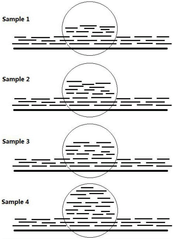 Method for genotyping forest populations on basis of gene CNV (copy number variation) sites