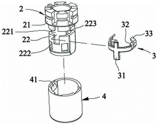 The structure of the lower nest of the umbrella