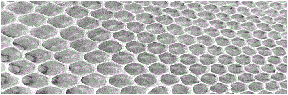 Honeycomb-shaped polygonal self-lubricating gear