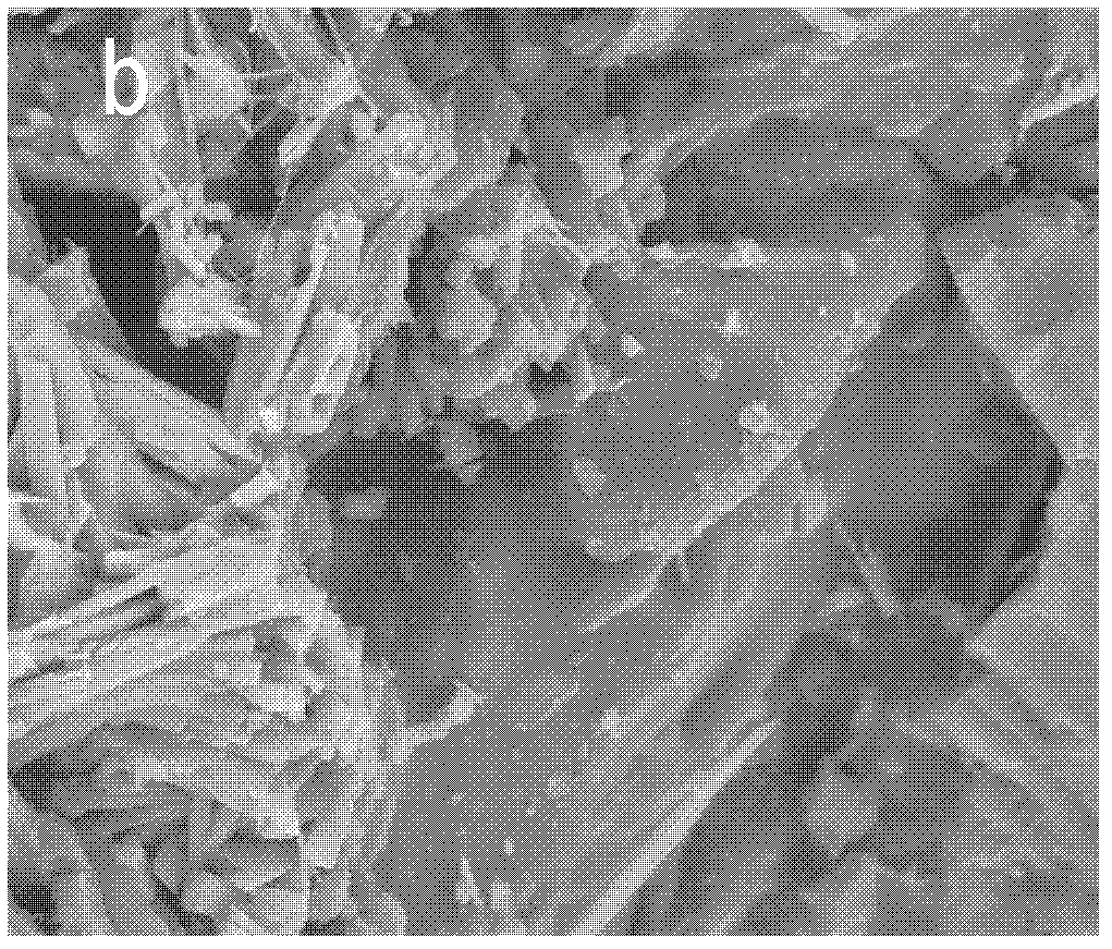 Nano-aperture granular adsorbent and preparation and application thereof