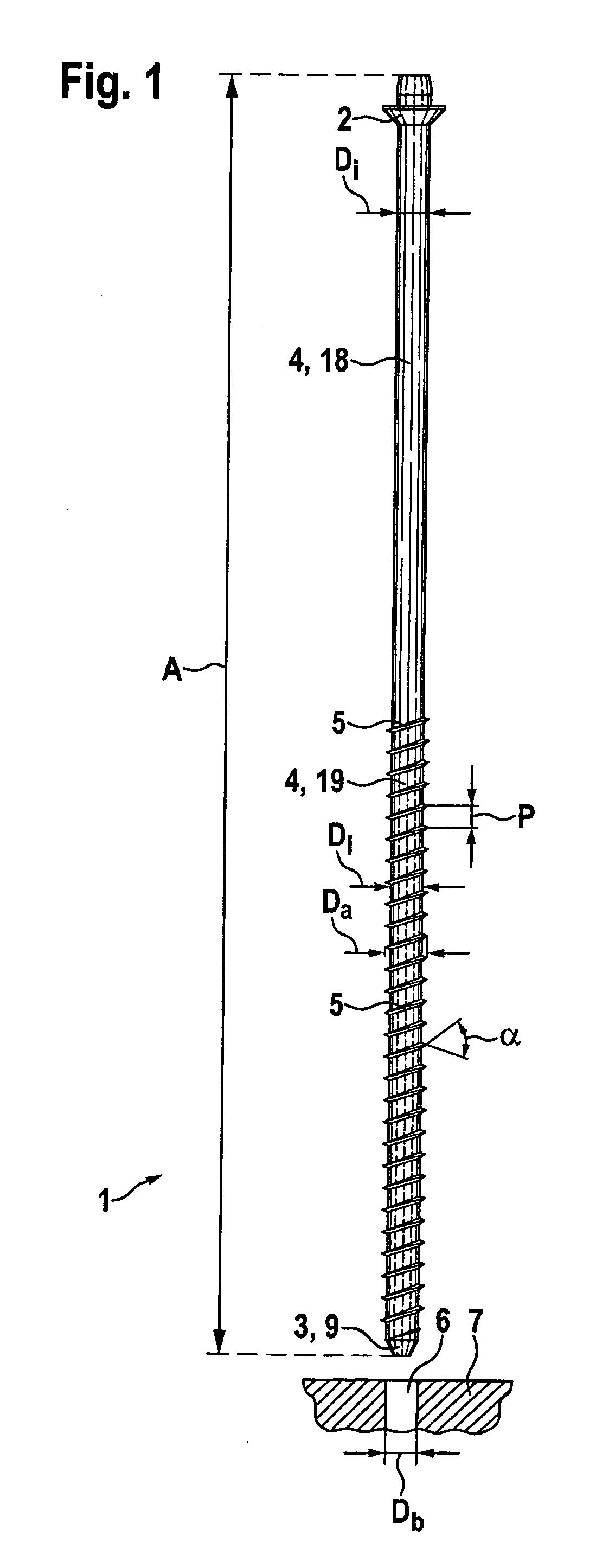 Reinforcement and/or anchor bolt